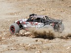 Losi Desert Buggy XL 1:5 4WD RTR